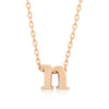 Alexia Rose Gold Pendant N Initial Necklace